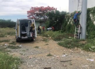 Muere hombre tras precipitarse al vacío cuando instalaba una valla publicitaria en Baní Un hombre falleció este martes tras precipitarse al vacío cuando se encontraba instalando una valla publicitaria, un hecho ocurrido a la altura del kilómetro 2 1/2 de la Carretera Sánchez, de la comunidad de Escondido, en Baní.