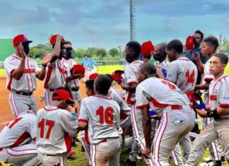 Gustavo Talmare remolcó cuatro carreras, tras un jonrón con bases llenas y la República Dominicana venció este lunes 13 carreras por 9 a Estados Unidos en la VII Copa Mundial de béisbol sub-12 para alcanzar su segunda victoria de este torneo, que se disputa en Tainan, en China Taipei.