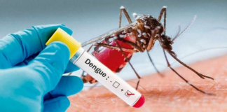 El titular de las Direcciones Provinciales de Salud, Luis Rosario, advirtió este miércoles de que se espera “una temporada alta de dengue” durante los próximos meses en el país, donde hay un acumulado de 3,236 casos sospechosos de la enfermedad.