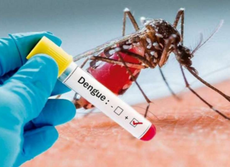 Salud Pública espera una temporada alta de dengue El titular de las Direcciones Provinciales de Salud, Luis Rosario, advirtió este miércoles de que se espera “una temporada alta de dengue” durante los próximos meses en el país, donde hay un acumulado de 3,236 casos sospechosos de la enfermedad.