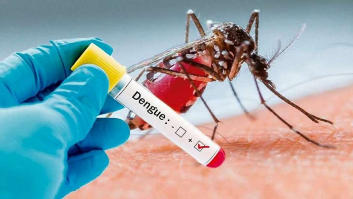 Salud Pública espera una temporada alta de dengue El titular de las Direcciones Provinciales de Salud, Luis Rosario, advirtió este miércoles de que se espera “una temporada alta de dengue” durante los próximos meses en el país, donde hay un acumulado de 3,236 casos sospechosos de la enfermedad.