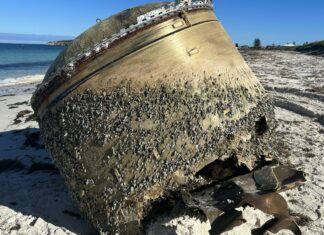 Resuelven el misterio del «peligroso» objeto que encalló en una playa australiana