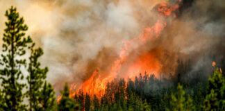 Miles de personas son evacuadas por incendios forestales en Canadá
