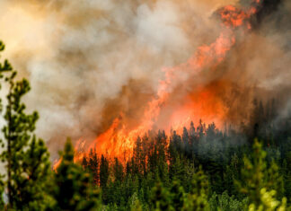 Miles de personas son evacuadas por incendios forestales en Canadá