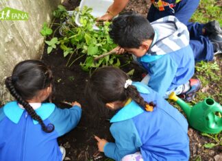 Año escolar inicia el lunes con siembra árbol en cada escuela La apertura del año escolar 2023-24 el próximo lunes 28 a las 9:00 de la mañana se hará de forma simultánea en todos los centros educativos del país, y el acto formal será encabezado por el presidente Luis Abinader en el Liceo Germán Martínez Taveras de Arroyo Hondo.