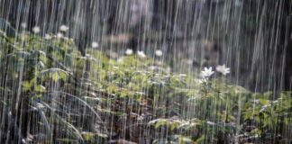 La Oficina Nacional de Meteorología (Onamet) indicó en su boletín de hoy que la presencia de una vaguada, en combinación con una onda tropical, estarán generando desde horas de la mañana aguaceros de moderados a fuertes, sobre algunas zonas del país. Según el informe, estas lluvias estarían iniciando en las provincias Samaná, María Trinidad Sánchez, Hato Mayor, El Seibo, La Altagracia, San Pedro de Macorís, El Gran Santo Domingo, Monte Plata, entre otras y extendiéndose más tarde a Monseñor Nouel, La Vega, San Cristóbal, Azua, San Juan, Elías Piña, Santiago, Duarte, Dajabón y Santiago Rodríguez, siendo menos frecuentes durante la noche. Sobre mañana jueves, el organismo avisó que, producto de la misma vaguada y el acercamiento de otra onda tropical, continuarán presentándose aguaceros especialmente en horas de la tarde, principalmente sobre María Trinidad Sánchez, Duarte, Samaná, La Altagracia, El Seibo, Hato Mayor, Monte Plata, El Gran Santo Domingo, Sánchez Ramírez, San Cristóbal, Monseñor Nouel, La Vega, San Juan, Elías Piña, Dajabón y Santiago Rodríguez. Alertas y avisos meteorológicos Meteorología mantiene en aviso ante posibles crecidas repentinas de ríos, arroyos y cañadas, inundaciones, así como deslizamientos de tierra a las provincias Monte Plata, San Cristóbal, El Gran Santo Domingo (incluyendo el Distrito Nacional). En tanto que, en alerta se encuentran Hato Mayor, San Pedro de Macorís, Samaná, María Trinidad Sánchez, Duarte, Monseñor Nouel y La Vega. Temperaturas El Gran Santo Domingo, las temperaturas máximas oscilarán entre 32 °C y 34 °C y las mínimas entre 24 °C y 26 °C.