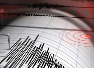 Un terremoto de 6,1 sacude Colombia Un terremoto de magnitud 6,1 sacudió este jueves el centro de Colombia y su capital, Bogotá, donde las personas salieron a las calles en pánico, aunque todavía no se reportan víctimas ni daños, informó el Servicio Geológico Colombiano.