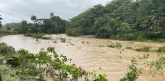 Dos víctimas fatales por ahogamiento y al menos ocho desaparecidos es el saldo tras ser arrastrados por la crecida del río Partido, ubicado en el distrito municipal de Villa Trina, en la provincia Espaillat, informaron representantes de la Defensa Civil local a Diario Libre.