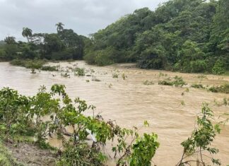 Villa Trina: Al menos dos muertos y ocho desaparecidos por crecida de río Dos víctimas fatales por ahogamiento y al menos ocho desaparecidos es el saldo tras ser arrastrados por la crecida del río Partido, ubicado en el distrito municipal de Villa Trina, en la provincia Espaillat, informaron representantes de la Defensa Civil local a Diario Libre.