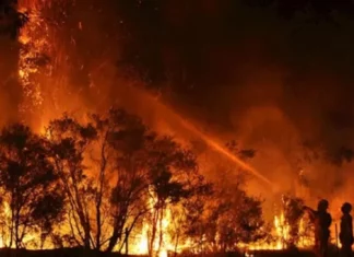 850 personas siguen desaparecidas tras los incendios en Hawái
