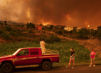 Miles de afectados y más de 13.000 hectáreas arrasadas: el saldo del incendio provocado en Tenerife