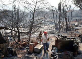 Evacuan a más de 3.000 personas en Francia por un devastador incendio forestal