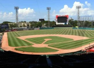 El receptor Maxwell Romero, seleccionado en el pasado sorteo de novatos, se integró de inmediato a los entrenamientos de los Tigres del Licey, con miras al campeonato 2023-24, dedicado a la periodista deportiva Onfalia Morillo.