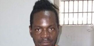 Un ciudadano haitiano indocumentado, que expresó irrespeto a la figura del presidente dominicano Luis Abinader, a través de la red de Tik Tok, fue apresado la tarde de este jueves en el sector Santa Lucía, del municipio Las Matas de Santa Cruz, de esta provincia.
