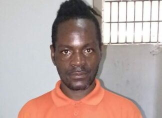 Un ciudadano haitiano indocumentado, que expresó irrespeto a la figura del presidente dominicano Luis Abinader, a través de la red de Tik Tok, fue apresado la tarde de este jueves en el sector Santa Lucía, del municipio Las Matas de Santa Cruz, de esta provincia.