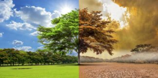 El Fondo de Adaptación al Clima realizará en la República Dominicana su encuentro anual, en el marco del Seminario Internacional de Preparación para el Financiamiento Climático, a celebrarse del 12 al 15 de septiembre del año en curso.