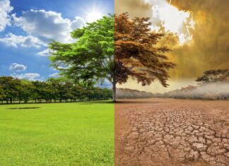 RD será sede de cumbre del Fondo de Adaptación al Cambio Climático El Fondo de Adaptación al Clima realizará en la República Dominicana su encuentro anual, en el marco del Seminario Internacional de Preparación para el Financiamiento Climático, a celebrarse del 12 al 15 de septiembre del año en curso.
