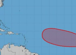 Onda tropical podría convertirse en ciclón en una semana, según pronósticos