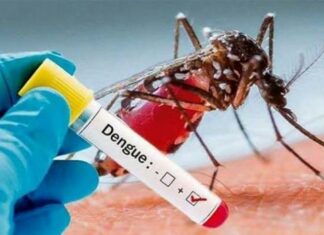 Colegio Médico suspende huelga pautada para esta semana por brote de dengue El Colegio Médico Dominicano (CMD), levantó este martes el paro convocado para este jueves y viernes, debido al incremento en los casos de dengue registrados en el país y que han activado las alertas sanitarias.