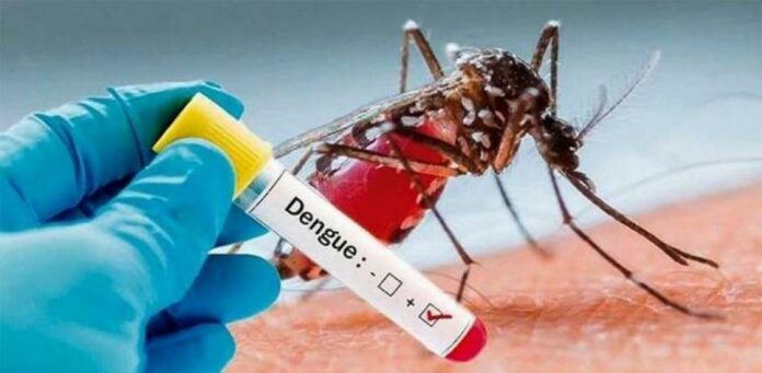 El Colegio Médico Dominicano (CMD), levantó este martes el paro convocado para este jueves y viernes, debido al incremento en los casos de dengue registrados en el país y que han activado las alertas sanitarias.