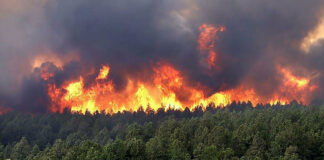 Autoridades colombianas informaron que se registró la noche del jueves 21 de septiembre un incendio forestal devastador en el sector de Altos de Menga, Cali, que amenazaba con afectar numerosas viviendas en la zona.