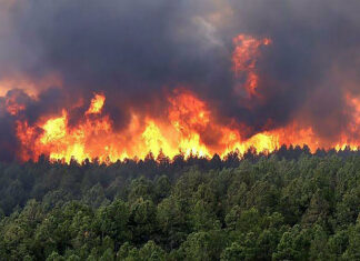Se registra incendio forestal al este de Colombia Autoridades colombianas informaron que se registró la noche del jueves 21 de septiembre un incendio forestal devastador en el sector de Altos de Menga, Cali, que amenazaba con afectar numerosas viviendas en la zona.
