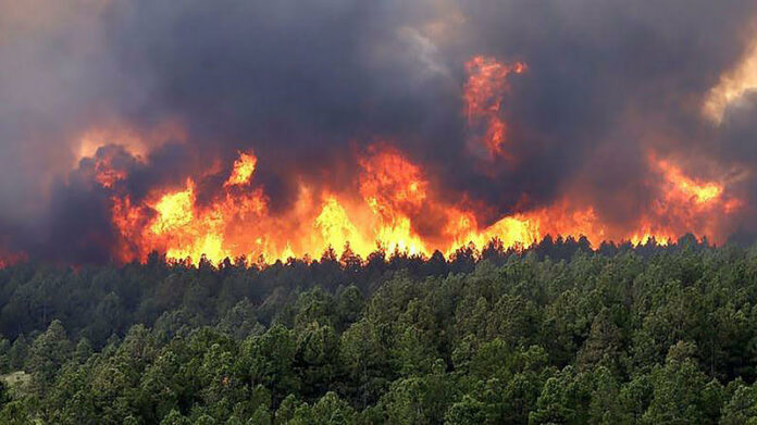 Se registra incendio forestal al este de Colombia Autoridades colombianas informaron que se registró la noche del jueves 21 de septiembre un incendio forestal devastador en el sector de Altos de Menga, Cali, que amenazaba con afectar numerosas viviendas en la zona.