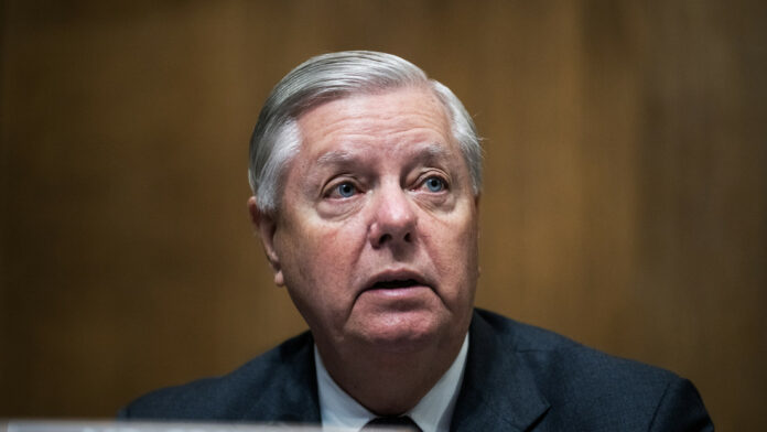 Imagen Ilustrada Imagen Ilustrada