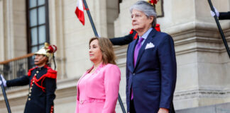 La aceptación de Dina Boluarte cayó más del 10 % en el año