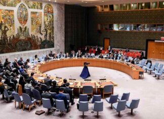 El Consejo de Seguridad de la ONU renueva por unanimidad el régimen de sanciones sobre Haití El Consejo de Seguridad de la ONU aprobó este jueves por unanimidad renovar por un año más el régimen de sanciones contra Haití, que lleva vigente desde octubre de 2022, en una rara muestra de consenso en el máximo órgano de decisión en Naciones Unidas.