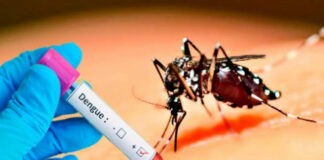 Ante la preocupación por el brote de dengue, los padres asisten a las emergencias en busca de atención para sus niños con fiebre, dolor de cabeza y otros síntomas, para descartar que hayan contraído la enfermedad.