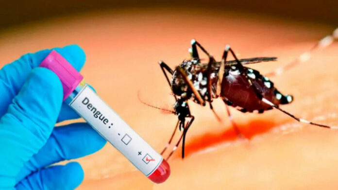 Pruebas PCR dengue se harán a ingresados Ante la preocupación por el brote de dengue, los padres asisten a las emergencias en busca de atención para sus niños con fiebre, dolor de cabeza y otros síntomas, para descartar que hayan contraído la enfermedad.