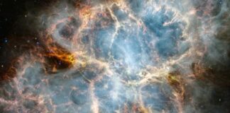 James Webb capta un cangrejo espacial a 6.500 años luz de la Tierra