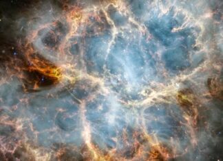 James Webb capta un cangrejo espacial a 6.500 años luz de la Tierra
