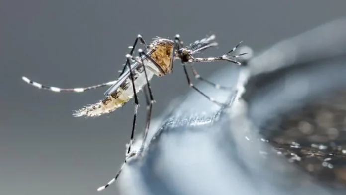Gobierno toma medidas para combatir el dengue Tras una reunión de más de una hora en el Palacio Nacional, encabezada por el presidente Luis Abinader, el gobierno anunció que a partir de mañana se comenzarán a implementar varias medidas para combatir el brote de dengue que azota al país.