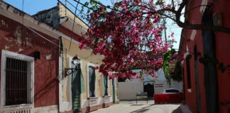 Calle Salomé Ureña, una de las intervenidas dentro del programa Mitur-BID
