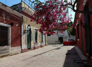 Calle Salomé Ureña, una de las intervenidas dentro del programa Mitur-BID