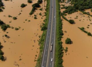 Elevan a 25 las muertes por lluvias catastróficas en el país El reporte de una nueva víctima mortal elevó a 25 el número oficial de fallecidos como consecuencia de las mayores lluvias torrenciales registradas en la República Dominicana en décadas, donde decenas de miles de personas tuvieron que ser desplazadas de sus hogares y aún se hace Según el último boletín del Centro de Operaciones de Emergencia (COE) en la República Dominicana, 37,060 personas fueron evacuadas a áreas seguras, de las que 965 fueron alojadas en albergues y el resto en casas de amigos y familiares.