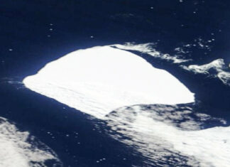 El iceberg más grande del mundo se desatasca después de tres décadas varado y se dirige al Atlántico