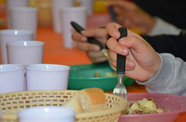 UNICEF lanza campaña “Cada Vida Cuenta” para continuar tratando la desnutrición aguda en RD Elevados precios de los alimentos, la falta de empleo formal supone para muchas familias vulnerables un alto riesgo de inseguridad alimentaria. En pleno siglo XXI, la desnutrición infantil sigue siendo una de las principales amenazas para la supervivencia, la salud y el crecimiento de millones de niños. Consciente de esta problemática, el Fondo de las Naciones Unidas para la Infancia (UNICEF) lanzó su campaña para la solidaridad: “Cada Vida Cuenta”, con el objetivo de lograr 3,000 tratamientos adicionales para contrarrestar esta situación.