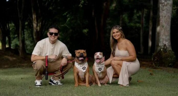 El presidente puertorriqueño, Pedro Pierluisi, confirmó el fallecimiento de la familia puertorriqueña. Entre ellos se encontraba un matrimonio, ambos servidores públicos, Michael Orozco, fiscal de la región de Bayamón, y su esposa, María Martínez, abogada.