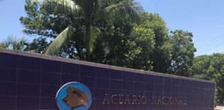 Jimmy Constantino García Saviñón fue designado director interino del acuario en sustitución de Wanda García, quien fue suspendida por el presidente Luis Abinader por alegadas irregularidades
