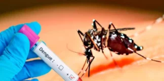 Con 14,000 casos sospechosos en lo que va del año y 13 personas fallecidas, el brote del dengue en la República Dominicana mantiene desbordados los centros de atención sanitarios públicos y privados, y es que esta enfermedad viral transmitida por los mosquitos Aedes Aegypti, tiene a todo el país en vilo y aún más, tras conocerse el primer caso de transmisión intrauterina de la enfermedad.