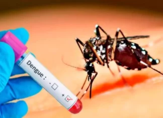 Dengue continúa en ascenso en República Dominicana, ¿podría convertirse en epidemia? Con 14,000 casos sospechosos en lo que va del año y 13 personas fallecidas, el brote del dengue en la República Dominicana mantiene desbordados los centros de atención sanitarios públicos y privados, y es que esta enfermedad viral transmitida por los mosquitos Aedes Aegypti, tiene a todo el país en vilo y aún más, tras conocerse el primer caso de transmisión intrauterina de la enfermedad.