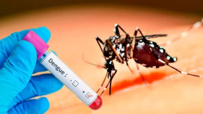 Con 14,000 casos sospechosos en lo que va del año y 13 personas fallecidas, el brote del dengue en la República Dominicana mantiene desbordados los centros de atención sanitarios públicos y privados, y es que esta enfermedad viral transmitida por los mosquitos Aedes Aegypti, tiene a todo el país en vilo y aún más, tras conocerse el primer caso de transmisión intrauterina de la enfermedad.