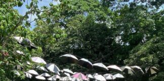 En los últimos días, el idílico paisaje del río Fula, conocido por su belleza natural y refrescantes aguas, se ha convertido en el epicentro de una polémica ante su crecida repentina el martes, dejando un saldo de cinco personas fallecidas.