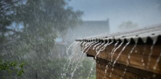 La incidencia de una vaguada incrementará la ocurrencia de aguaceros con tormentas eléctricas y aisladas ráfagas de viento en las provincias de La Altagracia, El Seibo, La Romana, San Pedro de Macorís, Hato Mayo, Monte Plata, El Gran Santo Domingo, el distrito Nacional, San Cristóbal, Peravia, Azua, San Juan, Elías Piña, Dajabon, Sánchez Ramírez, Monseñor Nouel, La Vega, Santiago, Samaná, María Trinidad Sánchez, Espaillat entre otras.