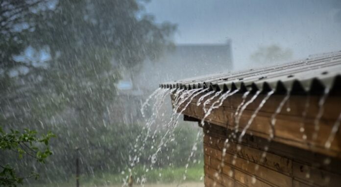 La incidencia de una vaguada incrementará la ocurrencia de aguaceros con tormentas eléctricas y aisladas ráfagas de viento en las provincias de La Altagracia, El Seibo, La Romana, San Pedro de Macorís, Hato Mayo, Monte Plata, El Gran Santo Domingo, el distrito Nacional, San Cristóbal, Peravia, Azua, San Juan, Elías Piña, Dajabon, Sánchez Ramírez, Monseñor Nouel, La Vega, Santiago, Samaná, María Trinidad Sánchez, Espaillat entre otras.