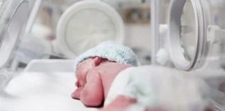 Las complicaciones de la prematuridad constituyen la principal causa de muerte en el periodo neonatal. En la región de Latinoamérica, alrededor de 1,2 millones de nacimientos ocurren en forma prematura.
