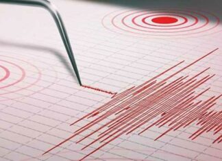 Se registra temblor de magnitud 5.1